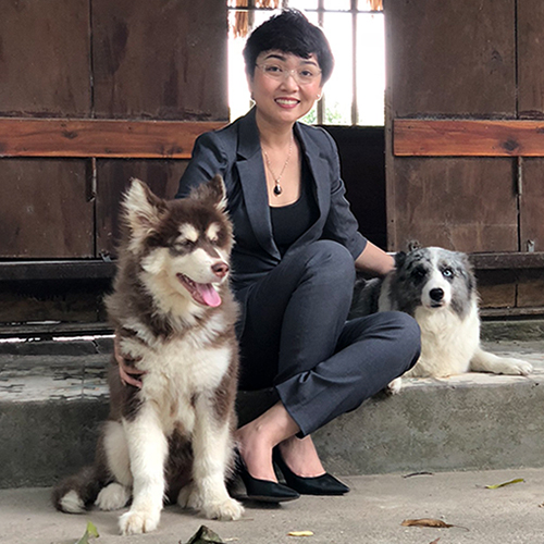 Chó Alaska thuần chủng và chủ nuôi tại Chomeocanh.com