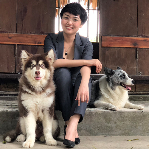 Thực tế, Alaska cái và đực có vẻ ngoài rất tương tự nhau từ lúc nhỏ đến trưởng thành. Chó Alaska có vẻ ngoài oai hùng nhưng lại cực kỳ dễ thương do nguồn gen thừa hưởng từ giống chó sói tuyết đã được thuần chủng: vừa hoang dã lại gần gũi với con người.Để có sự xuất hiện của giống chó Alaska như ngày nay, dòng chó sói gốc đã trải qua một quy trình thuần hoá, huấn luyện, làm quen với con người, người dân địa phương vùng vịnh Kotzebue trong điều kiện thời tiết cực kỳ khắc nghiệt và lạnh giá. Giống chó này được ghi nhận với tên đầy đủ là Alaskan Malamute.
Theo nhiều thống kê, chó Alaska nói chung có chiều cao trung bình khoảng 63 đến tối đa 68cm cùng cân nặng tối đa lên tới 54kg. Tổng thể, giống chó cảnh này có ngoại hình khá cân đối về chiều cao, cân nặng, cùng cấu trúc xương lớn với thân hình khá “cơ bắp”.