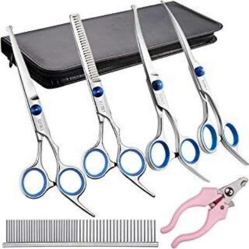 Bộ dụng cụ cắt tỉa lông chuyên nghiệp dành cho chó Poodle tại nhà.