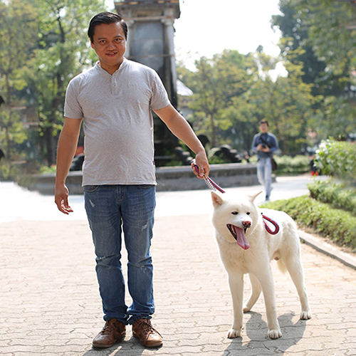 Chó Akita Inu trắng đang được dắt đi dạo cùng chủ nhân trên vỉa hè, trời nắng nhẹ