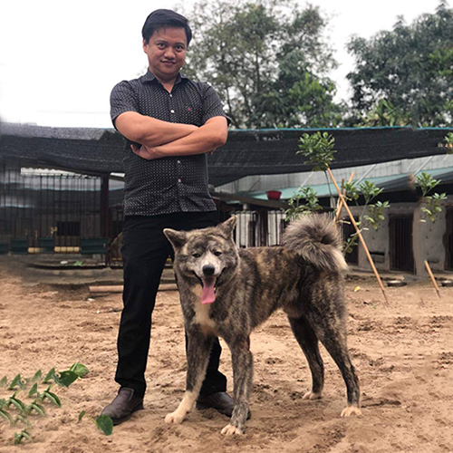 Chó Akita Inu vện Nhật Bản đứng cạnh chủ trong sân trại