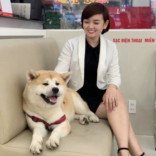 Chú chó Akita Inu màu vàng nằm cạnh chủ nhân, biểu cảm thân thiện và trung thành.