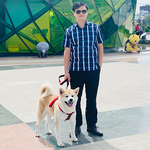 Chó Akita Inu vàng đi dạo cùng chủ nhân tại quảng trường