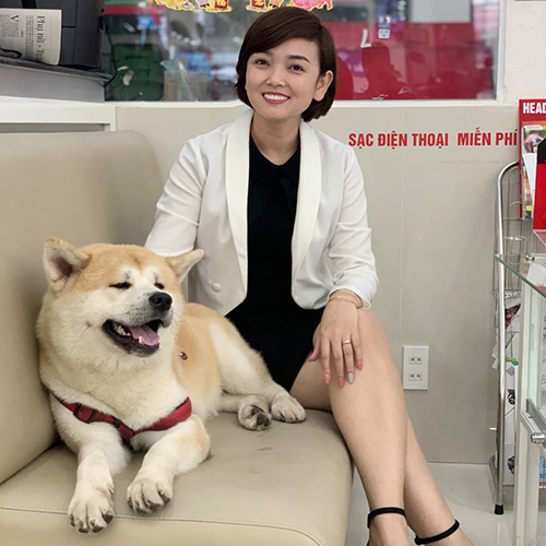 Chó Akita Inu vàng đực nhập Nga nằm trên ghế sofa cạnh người nuôi, gương mặt vui vẻ, thư giãn