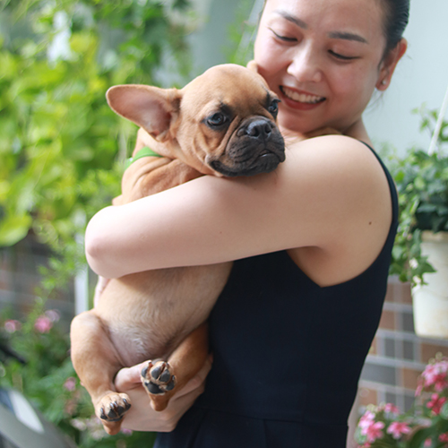 Người phụ nữ mỉm cười ôm chú chó French Bulldog lông nâu, thân thiết và tình cảm.