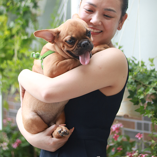 Người phụ nữ ôm chú chó Bull Pháp màu nâu trong vòng tay với nụ cười hạnh phúc.