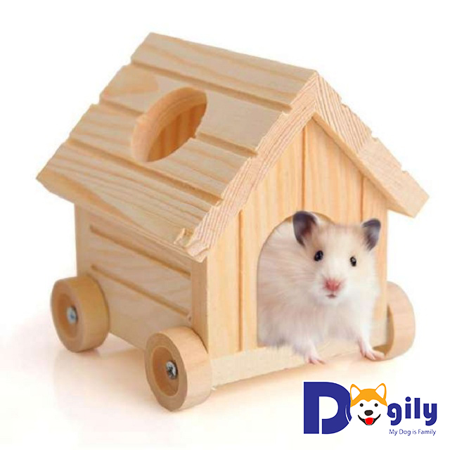 Giá nhà, đồ chơi và thức ăn dành cho Hamster Giá nhà, đồ chơi và thức ăn dành cho Hamster