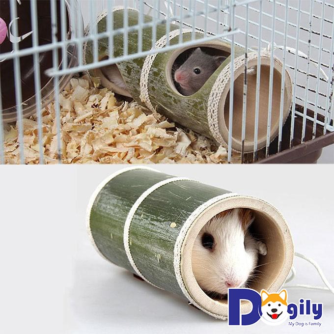 Vệ sinh ngôi nhà, đồ chơi và chuồng trại cho Hamster