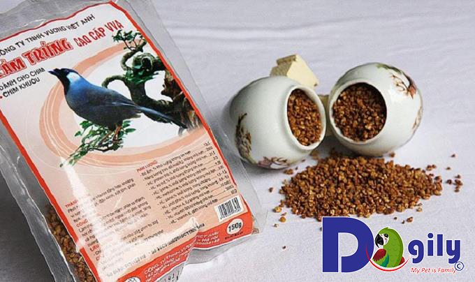 Thức ăn bán sẵn cho chim khướu Thức ăn bán sẵn cho chim khướu