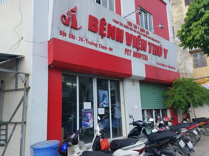 Bệnh viện chó mèo