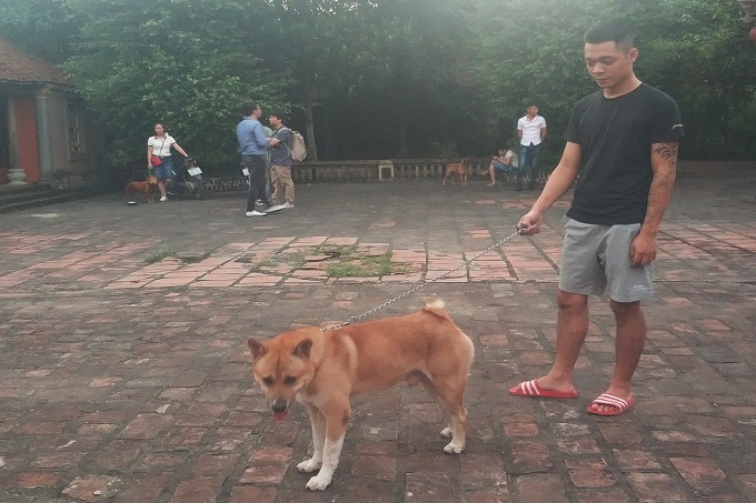 Toàn bộ ê-kíp từ chối xác nhận đâu là chú chó đảm nhận vai cậu Vàng - Ảnh: Mi Ly