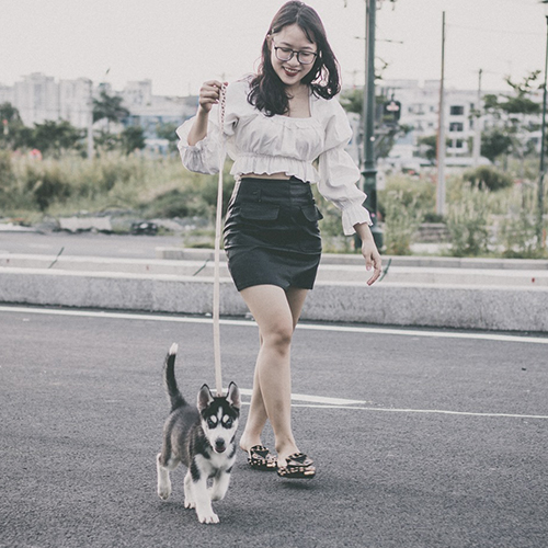 Cô gái dắt chó Husky con đi dạo trên đường, khung cảnh đô thị