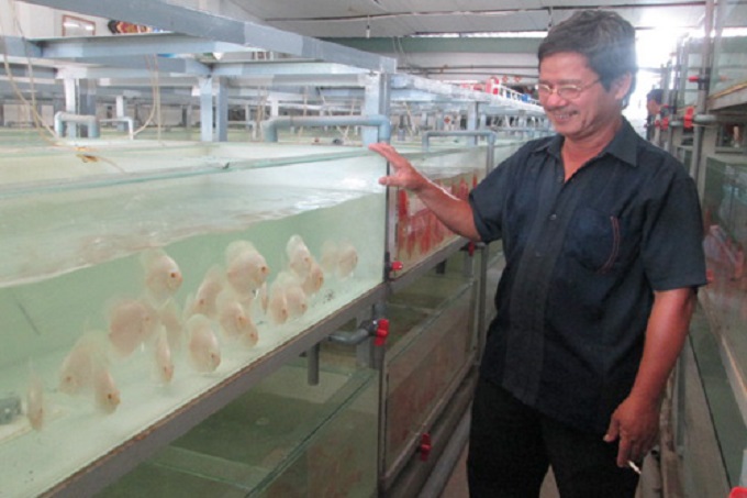 Sự sinh sản của cá đĩa
