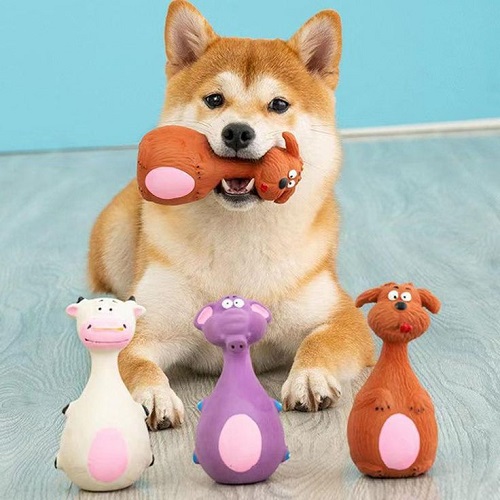 Chó Shiba Inu chơi đồ chơi gặm hình thú đáng yêu