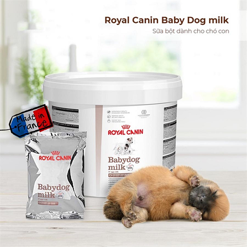 Sữa bột Royal Canin Babydog Milk dành cho chó con sơ sinh