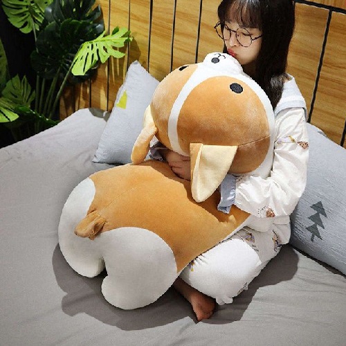 Gấu bông chó Corgi béo bự siêu dễ thương ôm trong lòng