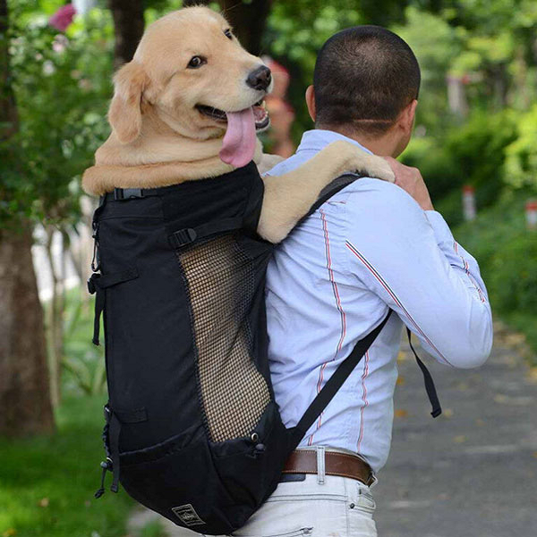 Balo địu chó lớn màu đen cho chó Golden Retriever