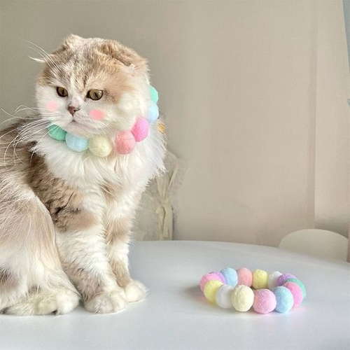 Mèo đeo vòng cổ chuông hạt bông màu pastel nhẹ nhàng và thời trang.