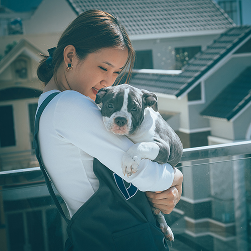 Chủ nhân bế chó cưng trên ban công đầy nắng