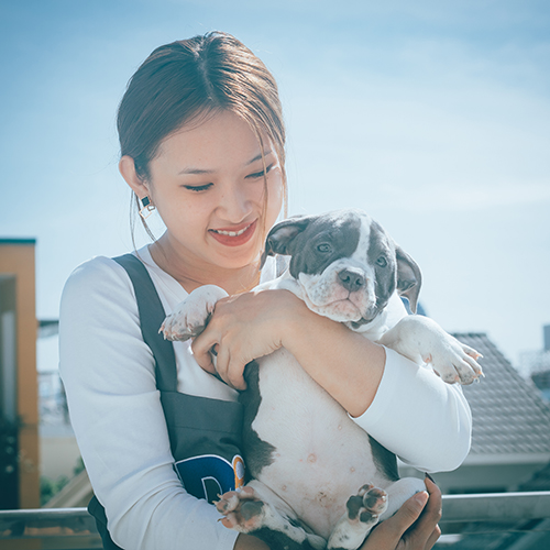 Cô gái mỉm cười bế chú chó con đáng yêu dưới ánh nắng.