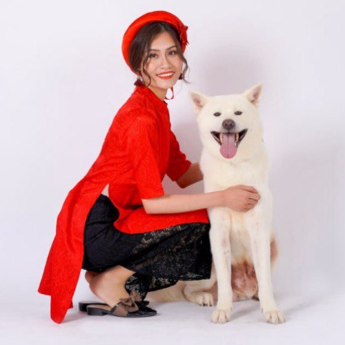 Chó Akita trắng cùng người mẫu trong bộ áo dài đỏ.