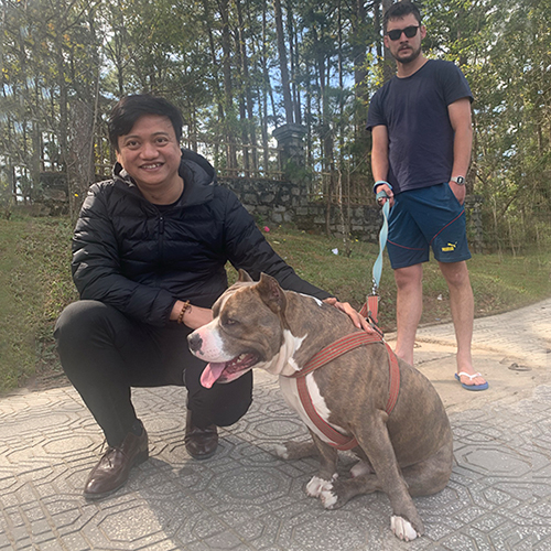 Hai người đàn ông dắt chú chó Pitbull đi dạo và quan sát hành vi của chó.