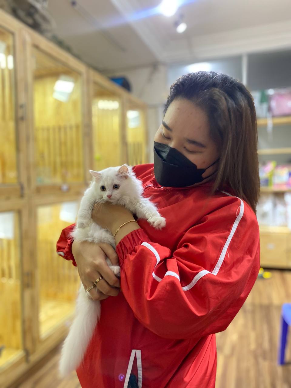 Bệnh dại chưa có thuốc chữa ở mèo