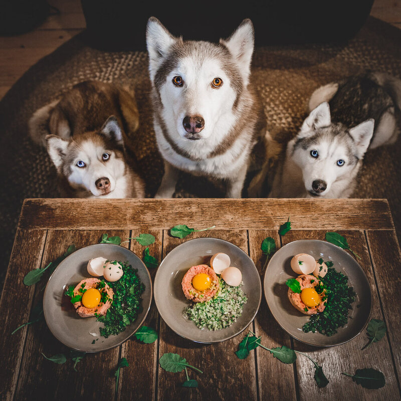 Chuẩn bị khẩu phần thức ăn tươi cho Husky Chuẩn bị khẩu phần thức ăn tươi cho Husky
