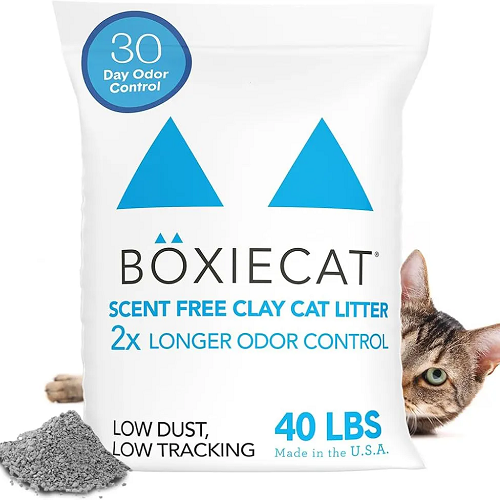 Cát vệ sinh đất sét Boxiecat không mùi 40 lbs