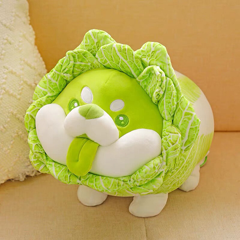 cho-Shiba-bap-cai