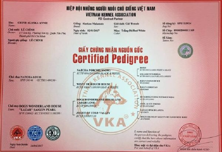 Giấy chứng nhận nguồn gốc VKA cho chó thuần chủng tại Việt Nam.