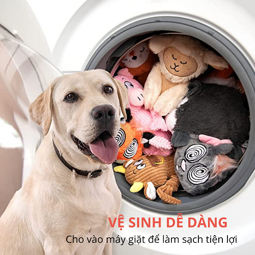 Giặt sạch đồ dùng của chó bị ghẻ để phòng lây lan ký sinh trùng