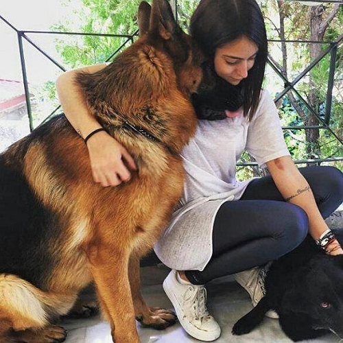 Chó Becgie Đức ôm chủ nhân thân mật, thể hiện sự gắn bó và tình cảm.