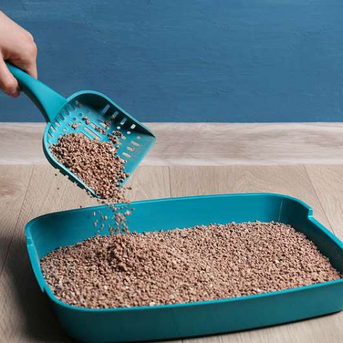 Xẻng nhựa xanh đang xúc cát đất sét trong khay vệ sinh cùng màu đặt trên sàn gỗ