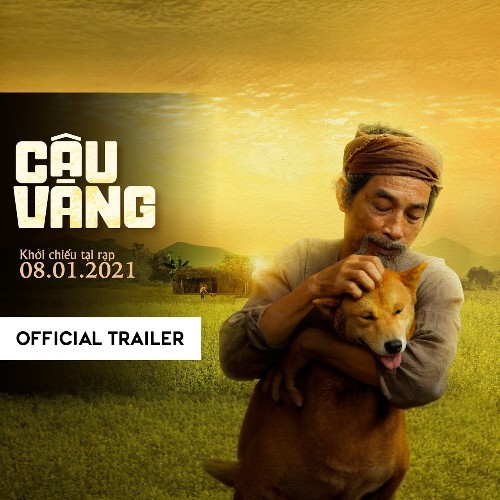 Poster phim "Cậu Vàng" với hình ảnh chú chó Shiba Inu và người ông trong khung cảnh đồng quê Việt Nam.