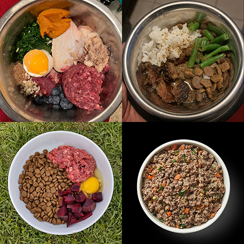 Thức ăn dinh dưỡng cho chó mẹ mang thai chuẩn bị sinh