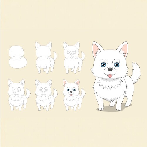 Hướng dẫn vẽ chú chó Shiba Inu chibi đáng yêu từng bước đơn giản, với nét vẽ ngộ nghĩnh.