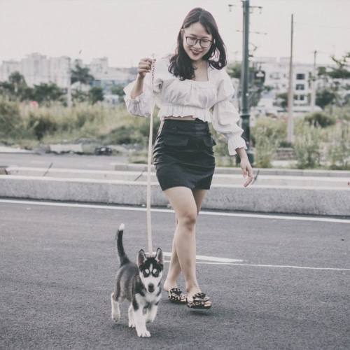Cô gái trẻ dắt chó Husky con đi dạo trên đường phố với vẻ mặt rạng rỡ.