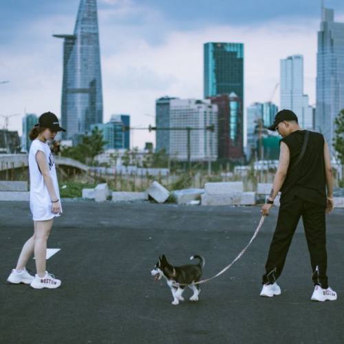 Cặp đôi dắt chó Husky đi dạo trên đường phố Sài Gòn