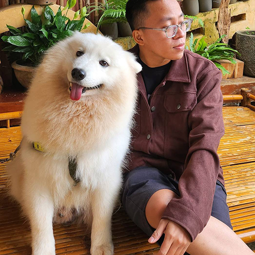 Chó Samoyed ngồi cạnh người chủ trên sàn tre, biểu cảm thân thiện