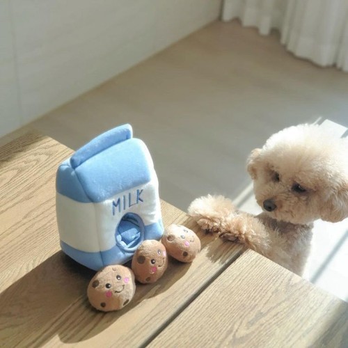 Chó Poodle đáng yêu bên hộp sữa đồ chơi màu xanh, sáng tạo và đẹp mắt.