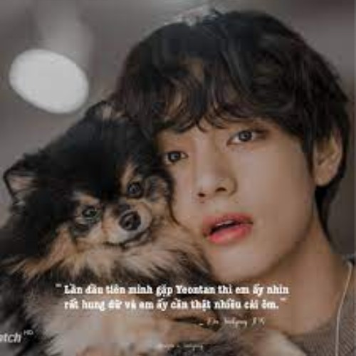 Chó Phốc Sóc Yeontan bên cạnh V (BTS), hình ảnh đáng yêu và thân thiết.