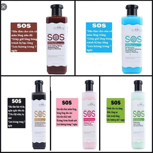 Các loại sữa tắm SOS cho chó mèo với công dụng riêng và hương thơm giữ lâu