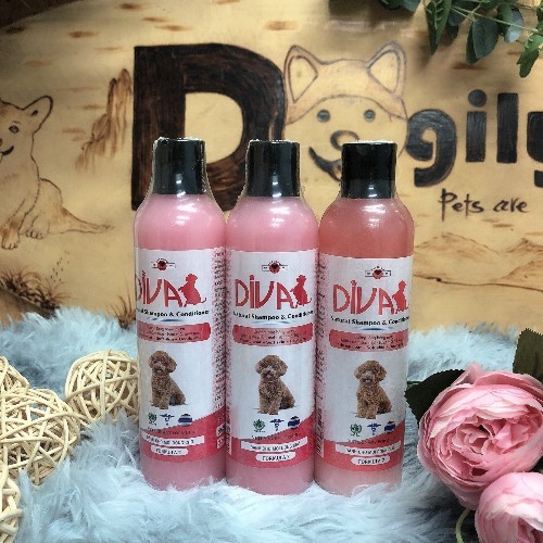 Sữa tắm Diva màu hồng cho chó Poodle nâu đỏ, 500ml.