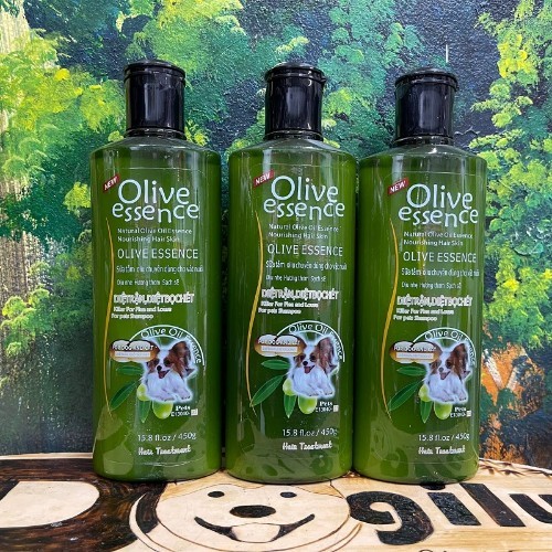 Sữa tắm Olive Essence cho chó Poodle lông nâu và nâu đỏ với dầu Olive tự nhiên.