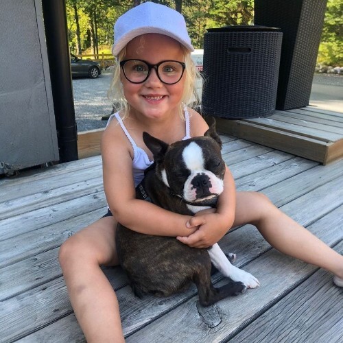 Bé gái ôm chó Boston Terrier trên sàn gỗ ngoài trời.