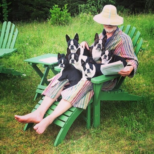 Người đàn ông ngồi trên ghế đọc sách với năm chú chó Boston Terrier ngồi trong lòng.