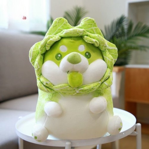 Gấu bông chó Shiba bắp cải màu xanh đáng yêu đặt trên bàn trong phòng khách.