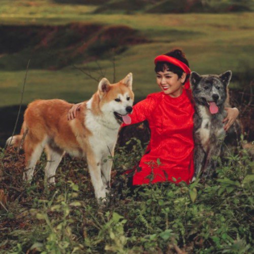 Cô gái mặc áo dài đỏ cùng hai chú chó Akita bên khung cảnh đồng quê.
