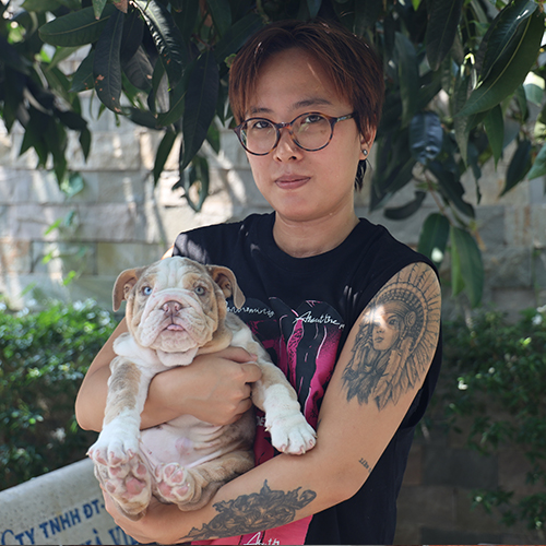 Khách hàng bế chó Bulldog Anh thuần chủng nhập khẩu từ châu Âu